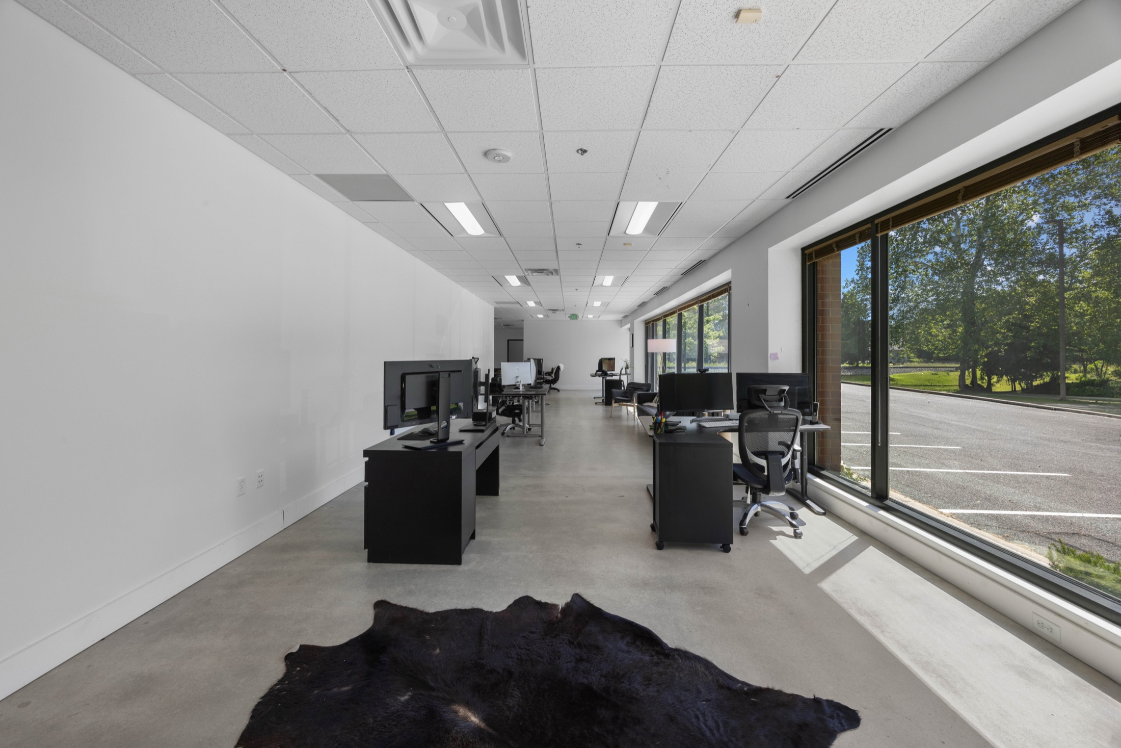 Open, light-filled workspace